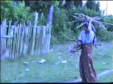 Lagu Daerah Jambi ketimun bungkuk