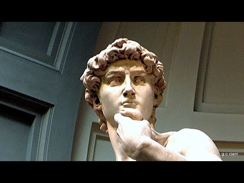 Firenze .La grande bellezza.Galleria Dell'Accademia.