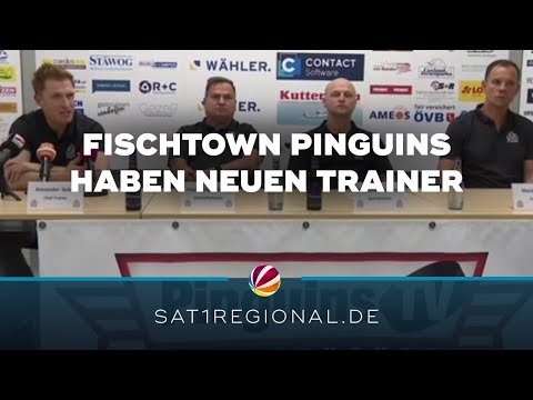 Fischtown Pinguins: Alexander Sulzer als neuer Trainer vorgestellt