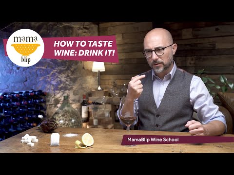 Wine Tasting: Learn to taste wine like a pro