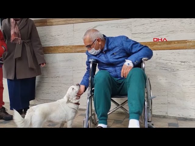 YouTube video preview