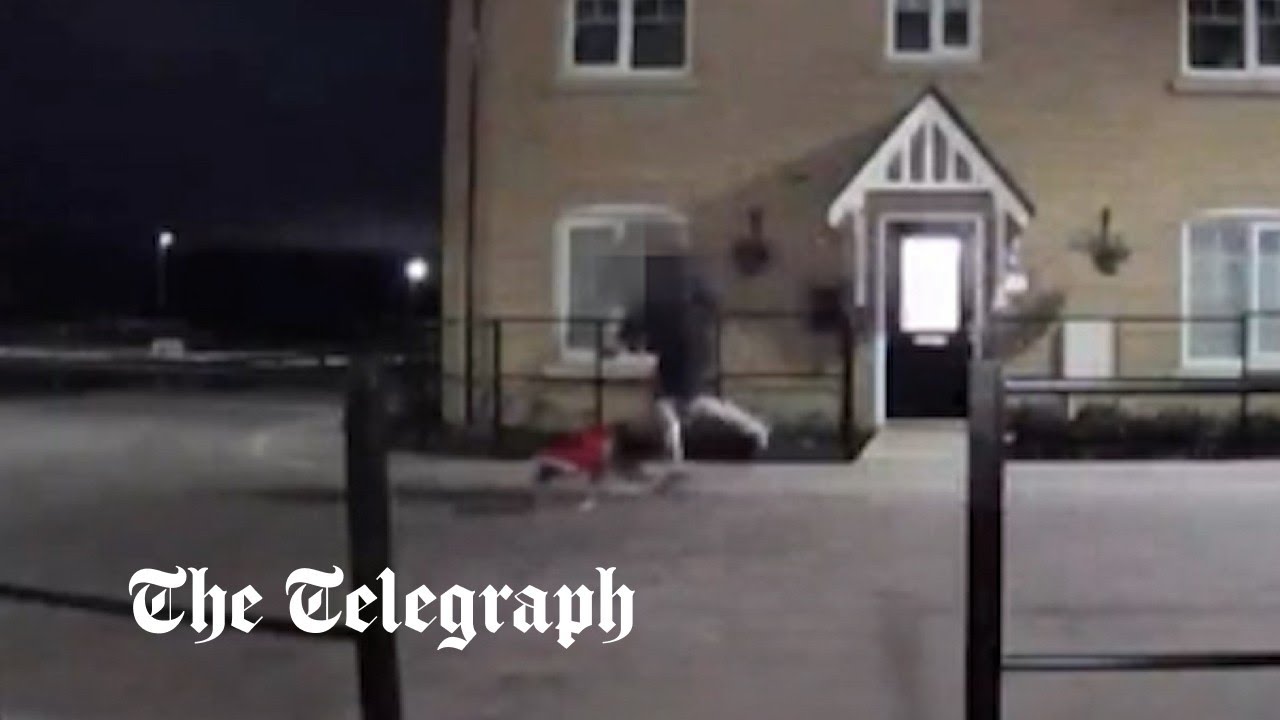 Moment man kicks dog caught on doorbell camera - Vimarsana News