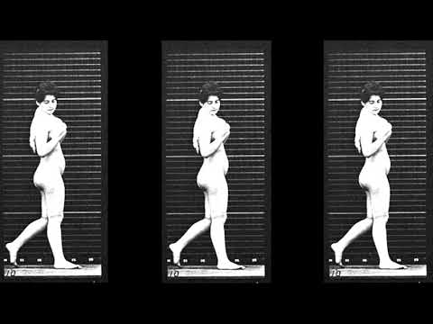 Brzoska i Gawroński - Kapłani i Androgyni