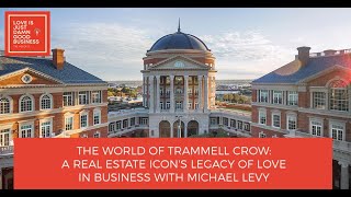Michael Levy Video 6