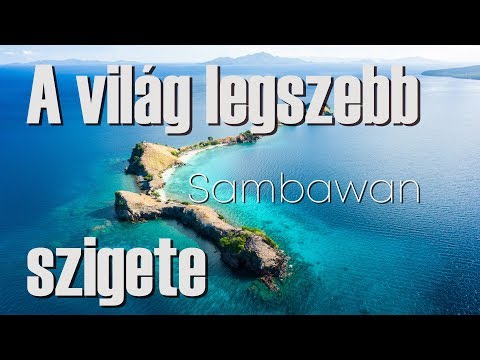 Talaj által terjesztett helminthiasis a Fülöp- szigeteken - Helminták a fülöp-szigeteken