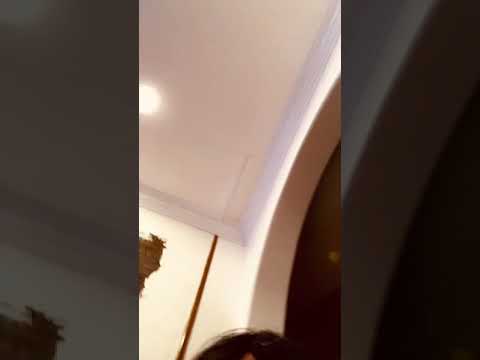 ITALIAN MOMS SAY 2020