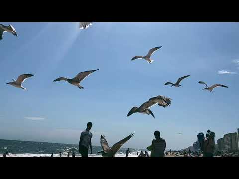 Virgina Beach Weekend with Naeem and Omar