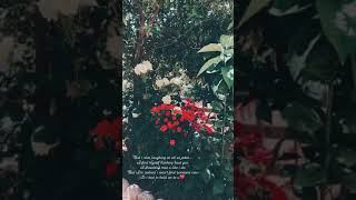 NOURI - Miss all your jokes (video by Rosie)