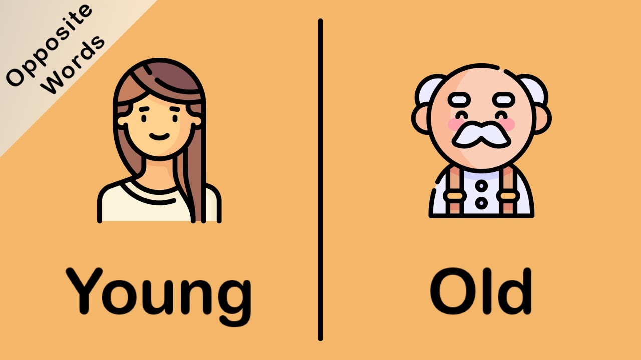 "Opposite Words in English | Learn English | English Vocabulary | Antonyms in English" #learnenglish