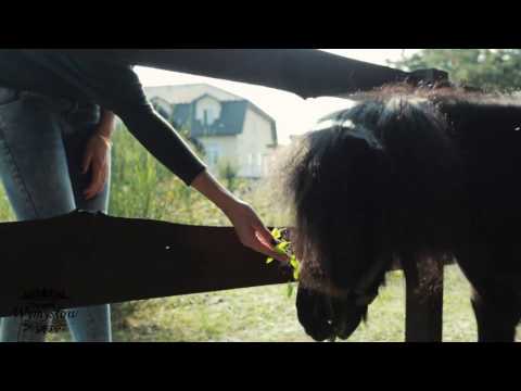 Dworek Wymysłów, sala weselna, województwo świętokrzyskie