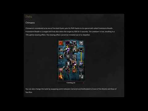 PVP Beast Mastery Hunter Guide 3.3.5 Wotlk
