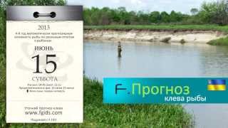 Клев рыбы в украине по областями
