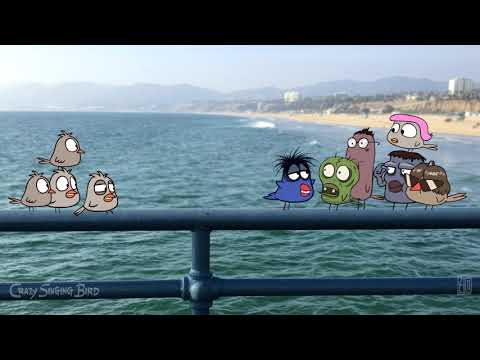 Crazy Singing Bird became Talking Bird now.