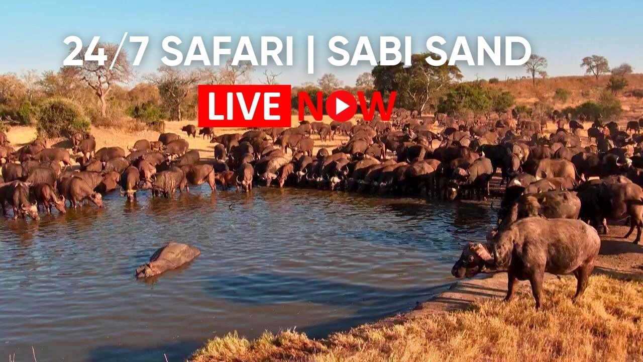 Nkorho Bush Lodge — Sabi Sand, South Africa