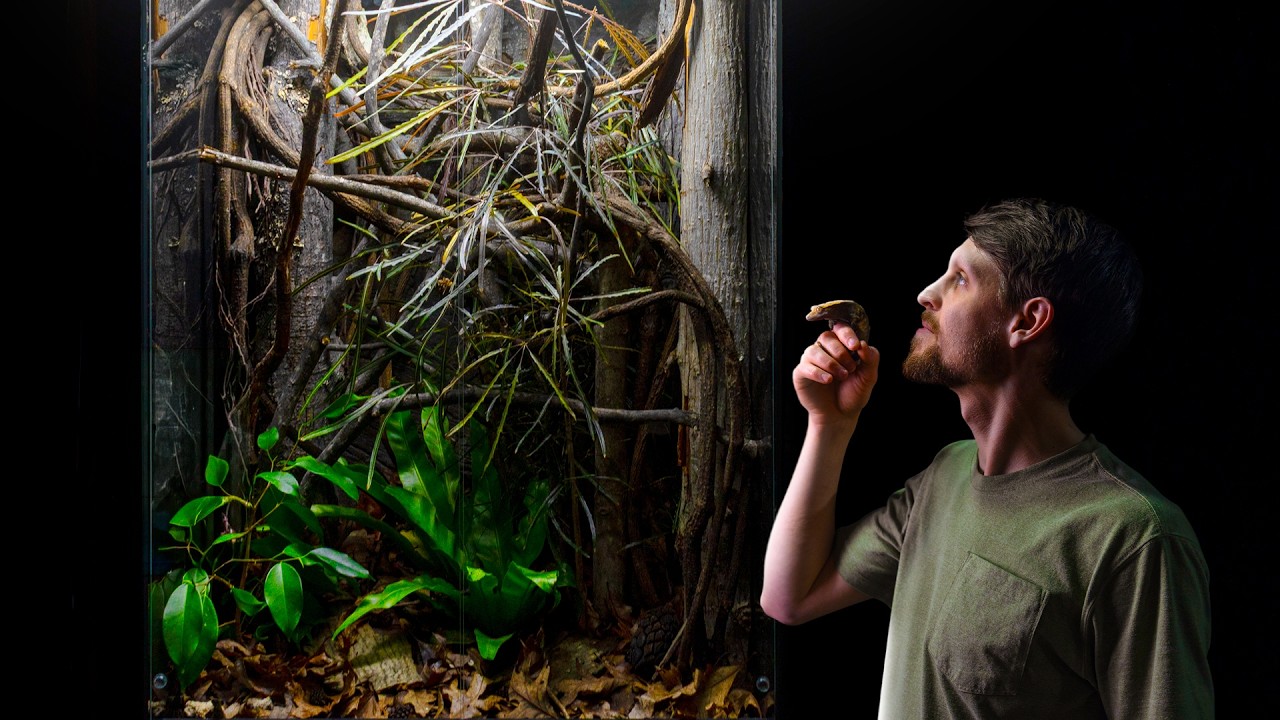 Crested Gecko Mansion Vivarium (Nature-Inspired Bioactive Build)