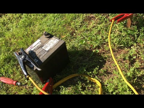 Nature, Shocking Worms