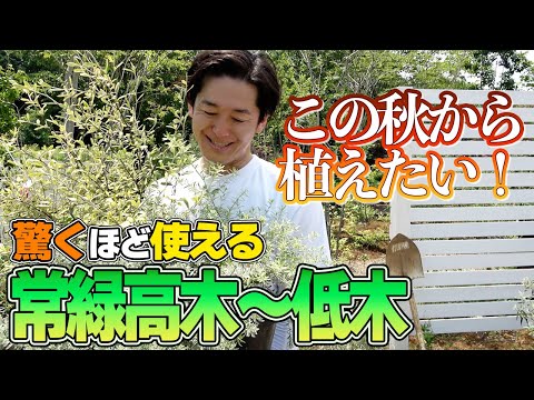 Loppers: テストと購入のアドバイス 庭の練習