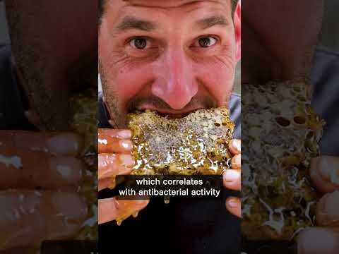 MGO Explained: What Gives Mānuka Honey Its Strength