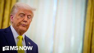 Trump’s economic approval PLUMMETS to new low as he denies affordability concerns