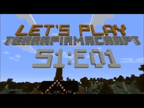 TerraFirmaCraft B77.21 Let's Play - S1 Ep01 - "Day One"