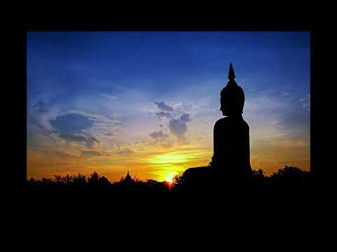 Buddha's Eagle • Paul Hertzog • Kickboxer OST