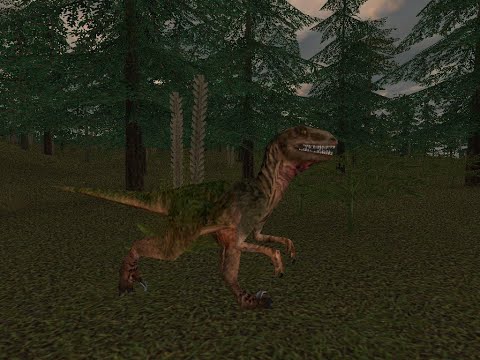 Deinonychus Showcase