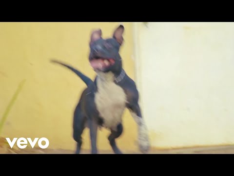 Ferro Gaita - Pon Di Fonga