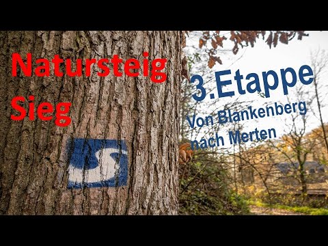Natursteig Sieg - 3. Etappe - Blankenberg bis Merten wandern