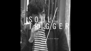 Mitja Prinz - Soul Trigger (Ian Pooley Remix)