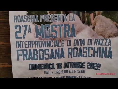 IL PAESE DI ROASCHIA (CN) E LA MOSTRA DELLA PECORA ROASCHINA E FRABOSANA. DOM. 16 - 10 - 2022.