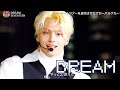 [4K] SEVENTEEN (세븐틴) -  DREAM 드림 교차편집 [Stage Mix]