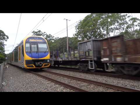 Quin NR's lead PN 5NY3 empty steel - 19/1/17