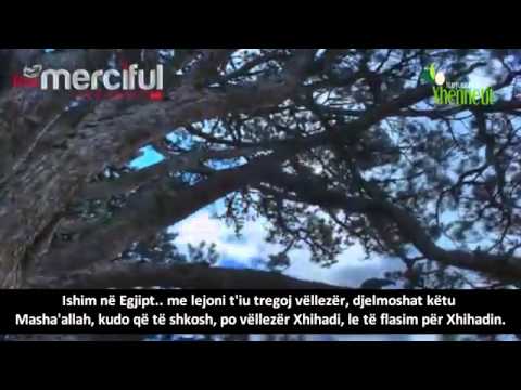 Gjendja e Ummetit Musliman!