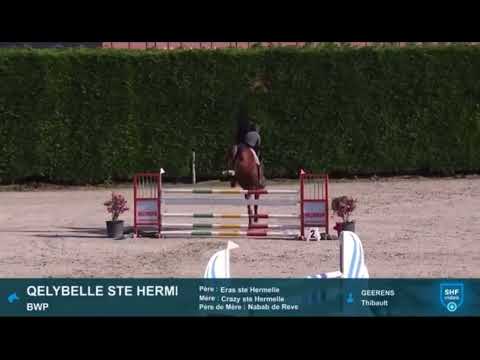 QELYBELLE ST HERMELLE