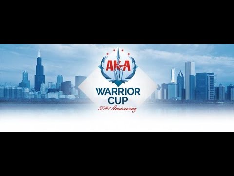 18 & over Men's Sparring Divisions Live Stream - 2015 AKA Warrior Cup