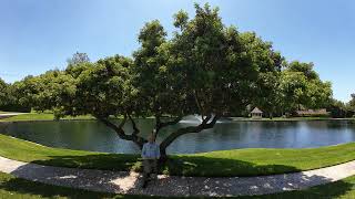 Episode 16: Seeing Clearly