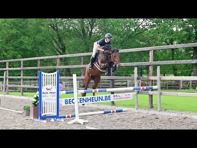 Under the saddle