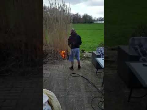 Frau rastet aus (er brennt alles nieder😂)