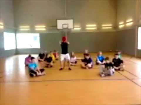 Harlem Shake på Raoulwallenbergskolan