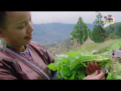 Exploring China: A Virtual Adventure for Kids!