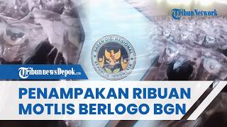 Ribuan Motor Listrik Berlogo BGN Siap Dibagikan ke Petugas SPPG, Warganet Pertanyakan Urgensi