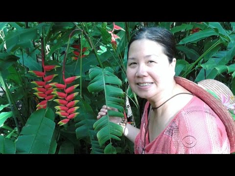 An American businesswoman convicted of espionage is deported ...