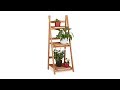 Escalier plantes bois échelle 40 x 108 cm
