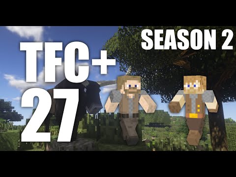 TerraFirmaCraft+ Season 2 Episode 27