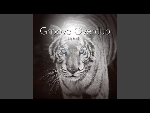Orchestral Groove