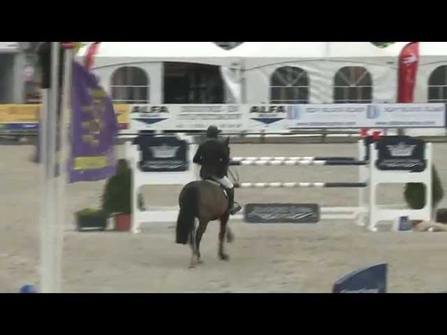 Mother CSI 1.50m mare Zsa Zsa (Sam R) with rider Siebe Kramer.