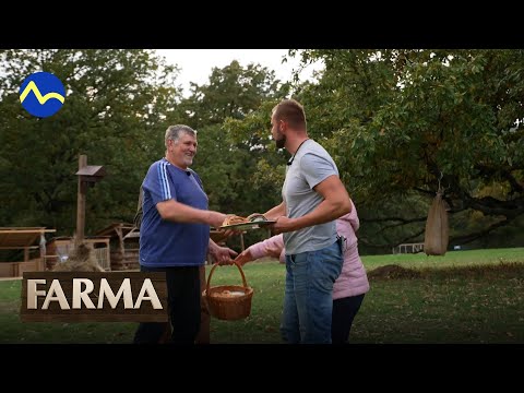 Mišova rodina na farme  - FARMA