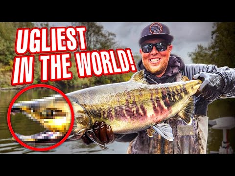 Bobber DOWNS Catching The UGLIEST Salmon In The WORLD!