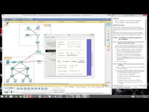 10 2 2 8 Packet Tracer   DNS and DHCP