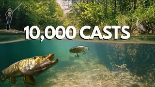 The Hunt for an Elusive River Monster